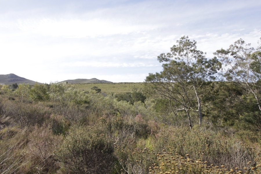 To Let commercial Property for Rent in Humansdorp Rural Eastern Cape